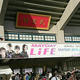 maydaylife