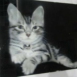 マイスター（5号）の竹田幸司氏の作品